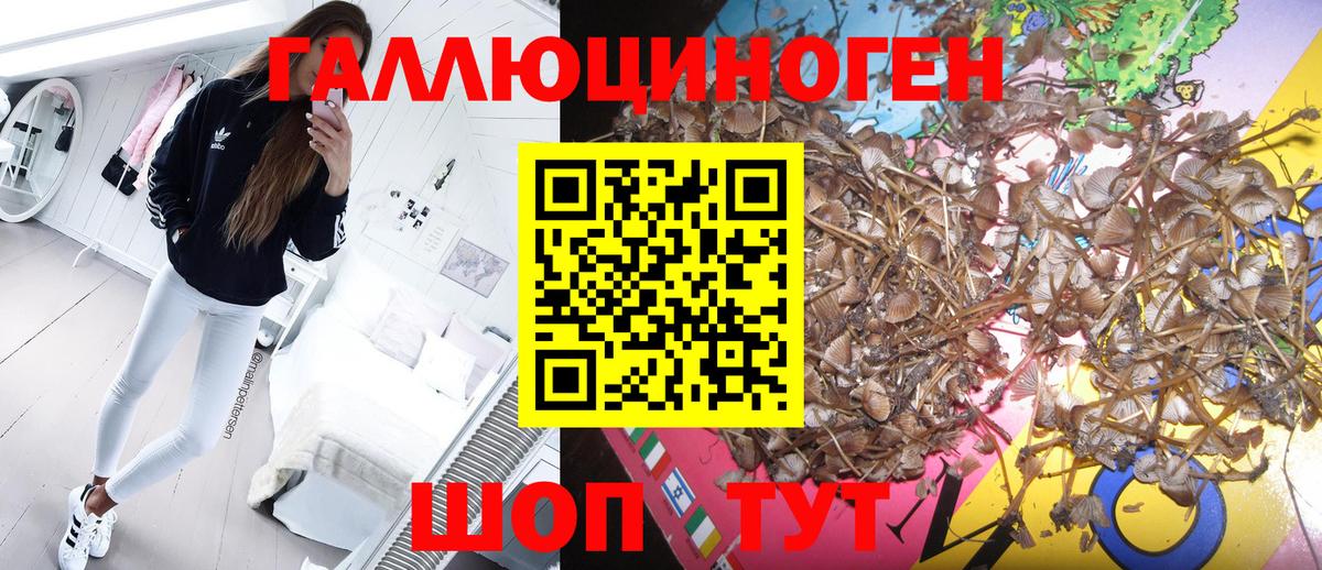 Псилоцибиновые грибы прущие грибы  Вход с VPN  Псилоцибиновые грибы Cubensis  Сургут 