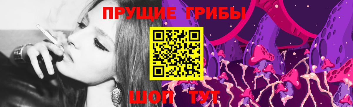 Псилоцибиновые грибы GOLDEN TEACHER Сургут